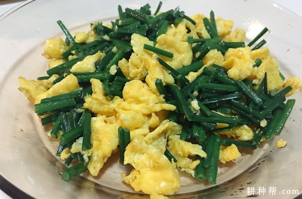 哪些人不宜吃韭菜？