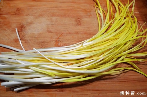 韭黄有哪些营养成分? 韭黄有哪些营养成分?