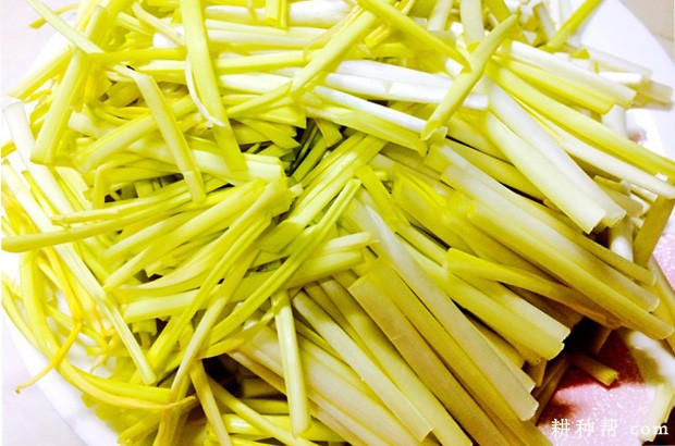 韭黄有哪些营养成分? 韭黄有哪些营养成分?