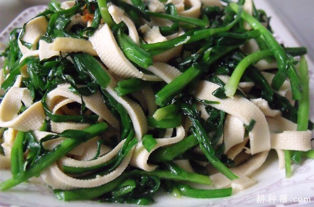 吃韭菜有什么好处？