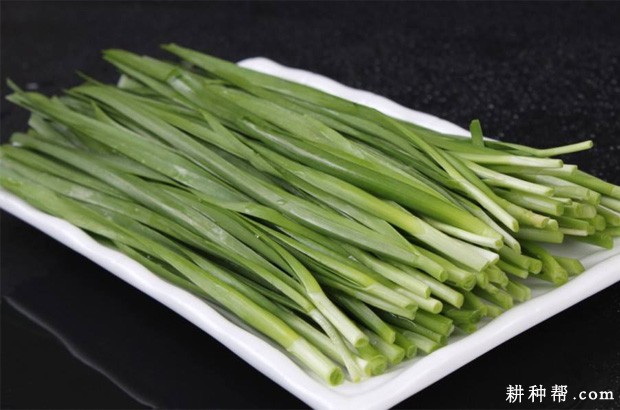 吃韭菜有什么好处？