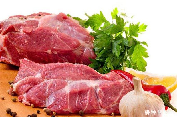 韭菜不能和什么食物一起吃? 韭菜不能和什么食物一起吃?