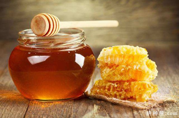 韭菜不能和什么食物一起吃? 韭菜不能和什么食物一起吃?