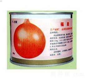 天正福星洋葱品种好不好？