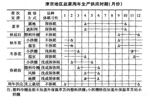 韭菜什么时间种植？