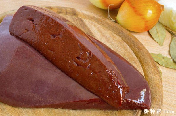 莲藕不能和什么一起吃? 莲藕不能和什么一起吃?