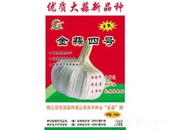 金蒜4号大蒜品种好不好？