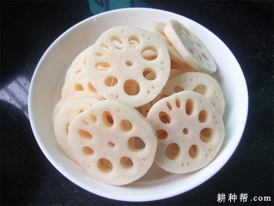 莲藕含有哪些营养成分？