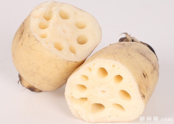 莲藕有哪些功效与作用？