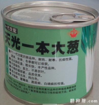 天光一本大葱品种好不好? 天光一本大葱品种好不好?