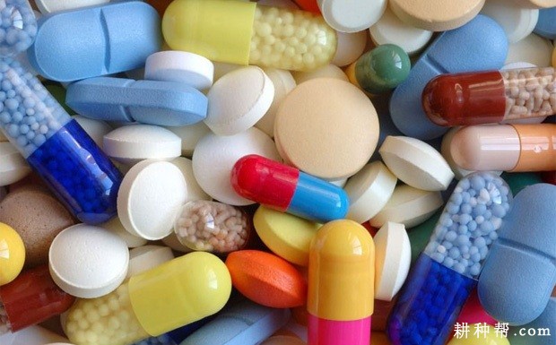 马蹄不能和什么东西一起吃? 马蹄不能和什么东西一起吃?