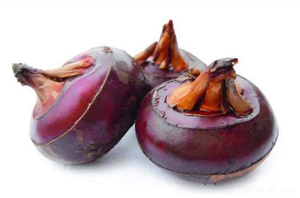 吃马蹄有什么好处？