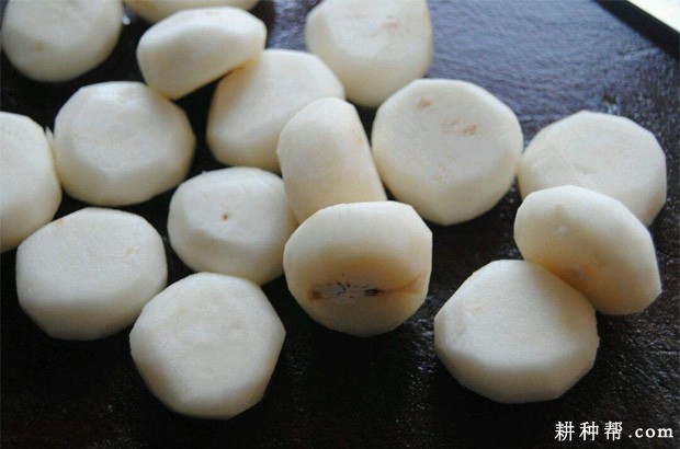 荸荠含有什么营养成分? 荸荠含有什么营养成分?