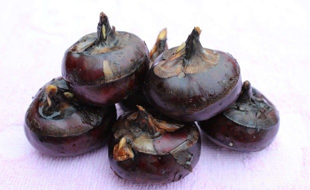 马蹄品种怎么选择？