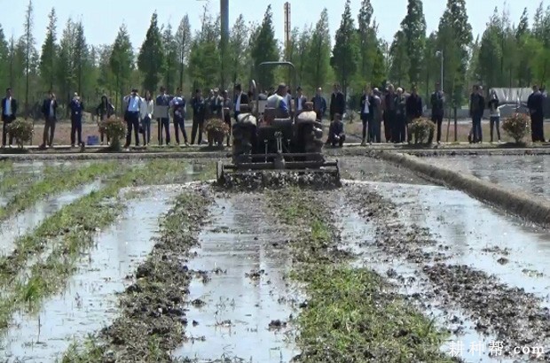 秋种两熟茭如何种植？