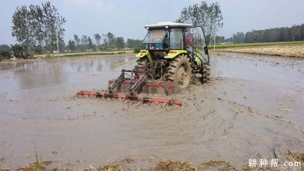 种植慈姑如何平整田地? 种植慈姑如何平整田地?