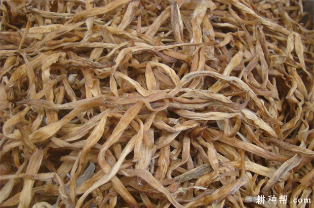 黄花菜有哪些功效与作用? 黄花菜有哪些功效与作用?