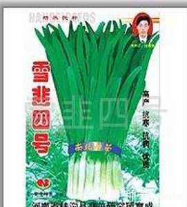 雪韭四号韭菜品种好不好？