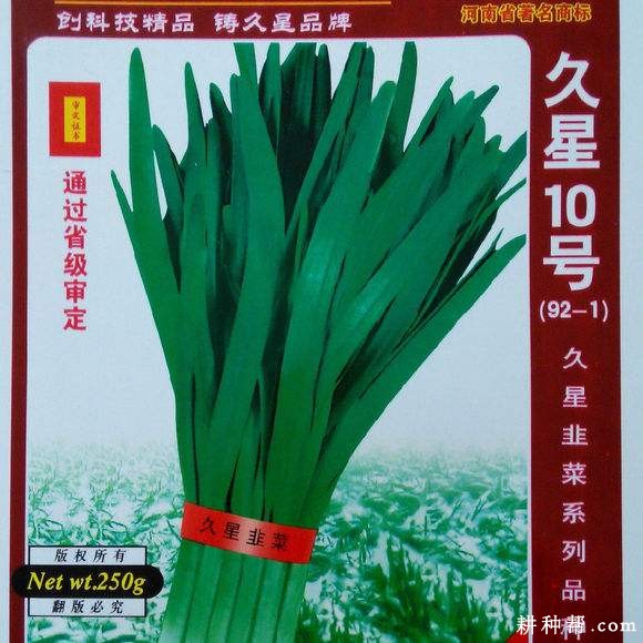 久星10号韭菜品种好不好？