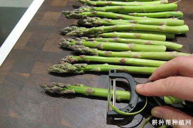 芦笋要不要削皮？