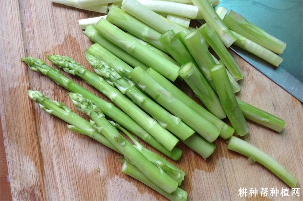 芦笋有哪些功效与作用? 芦笋有哪些功效与作用?