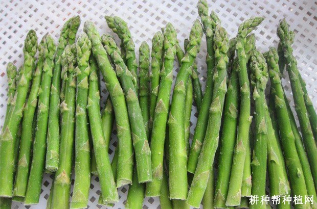 芦笋有哪些功效与作用? 芦笋有哪些功效与作用?