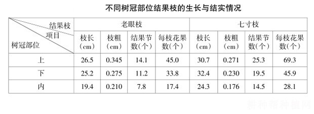 枸杞树的枝条有什么特点？