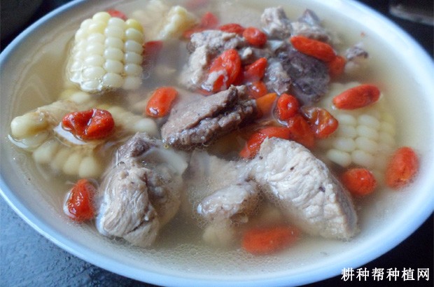 枸杞子有哪些副作用? 枸杞子有哪些副作用?