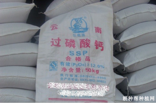 种植枸杞如何追肥？