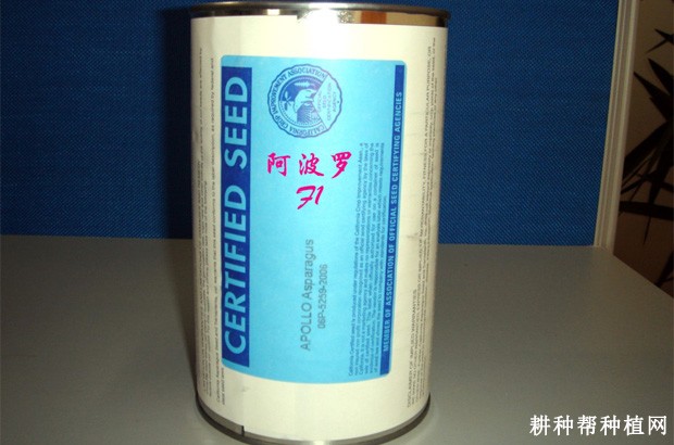 阿波罗芦笋品种好不好? 阿波罗芦笋品种好不好?