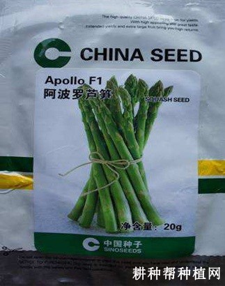 阿波罗芦笋品种好不好? 阿波罗芦笋品种好不好?