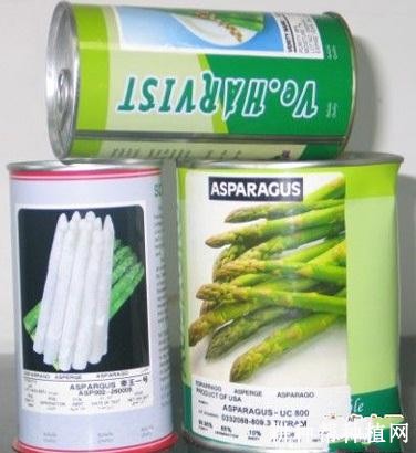 法国全雄芦笋品种好不好？