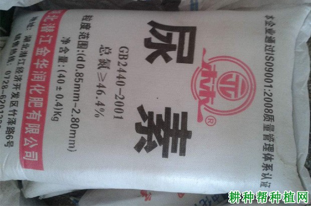 枸杞可以用哪些肥料作叶面喷施？