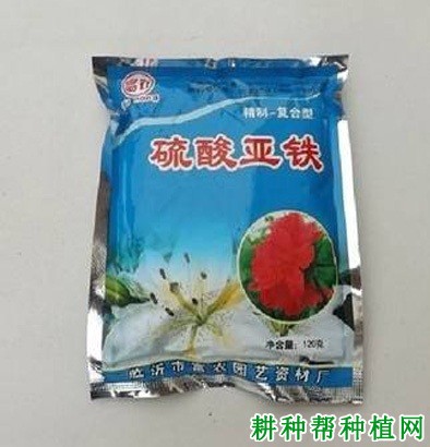 枸杞可以用哪些肥料作叶面喷施？