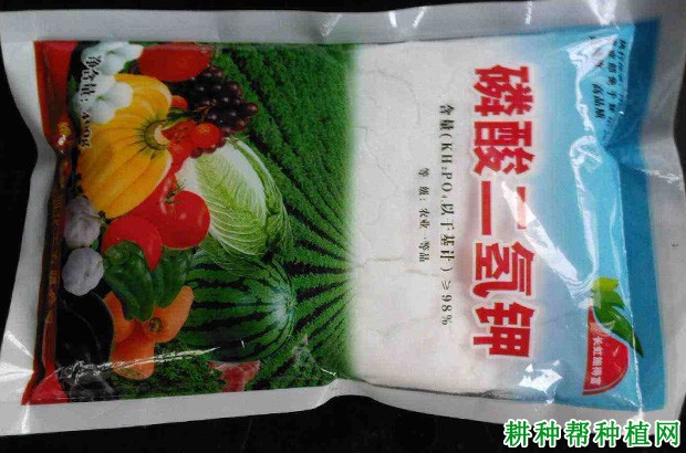 枸杞可以用哪些肥料作叶面喷施？