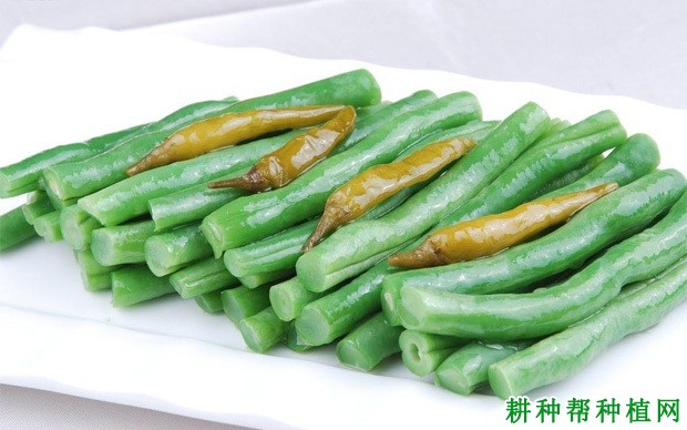 吃豇豆有什么好处？