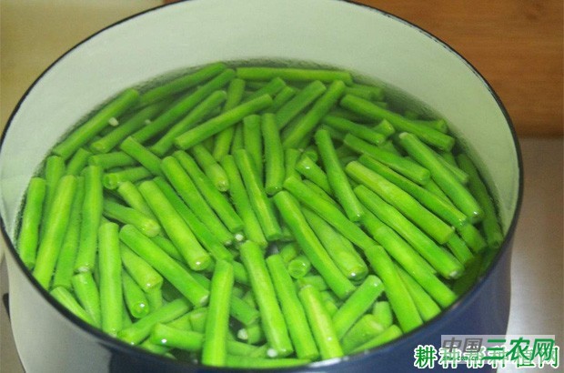 什么是豇豆中毒? 什么是豇豆中毒?