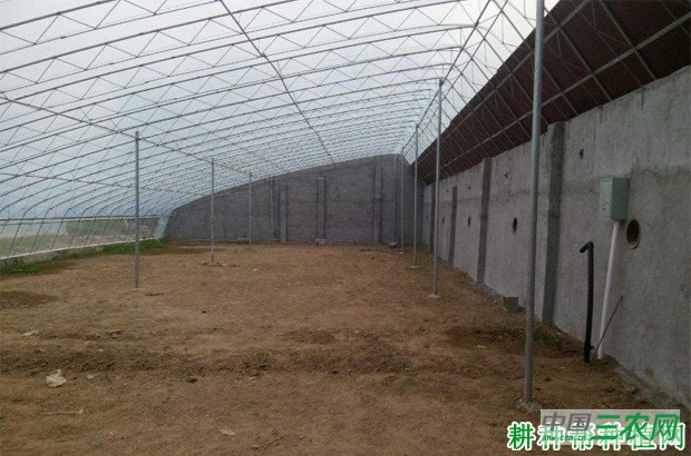 豆角重茬怎么办? 豆角重茬怎么办?