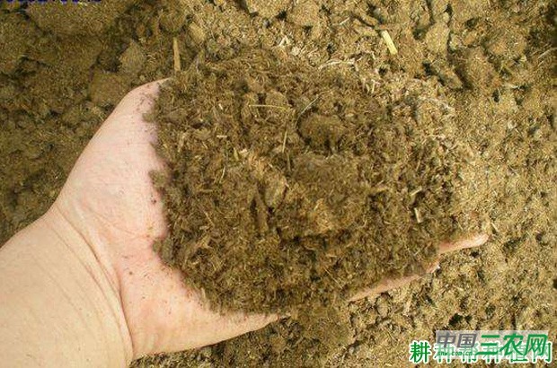 豆角种植前如何平整土地? 豆角种植前如何平整土地?