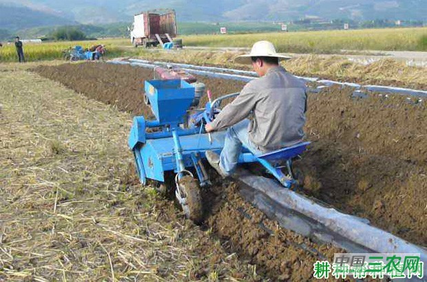 豆角种植前如何平整土地? 豆角种植前如何平整土地?