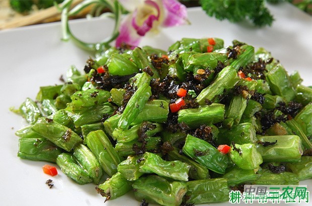 四季豆(菜豆)有哪些功效与作用? 四季豆(菜豆)有哪些功效与作用?
