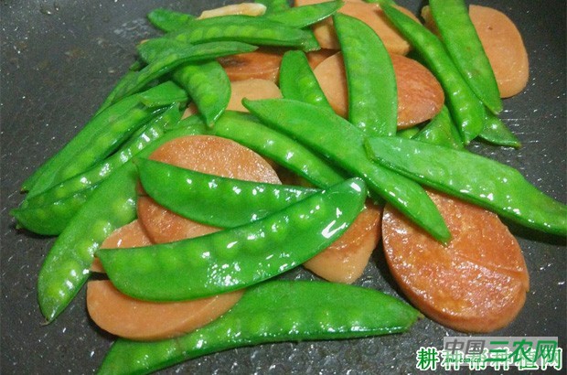 豌豆有哪些功效与作用？