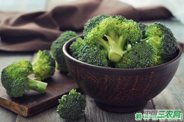 西兰花（青花菜）不能和什么东西一起吃？