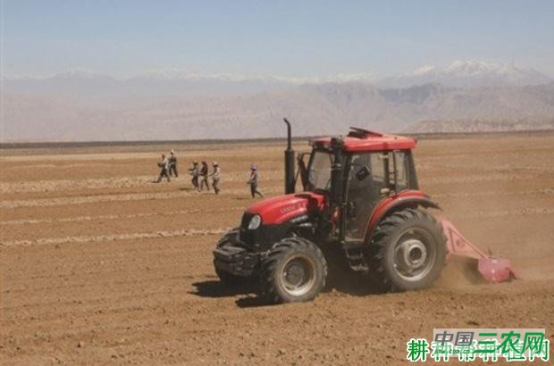 粒用豌豆(荷兰豆)如何种植? 粒用豌豆(荷兰豆)如何种植?