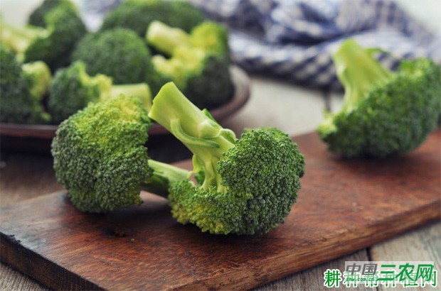 西兰花（青花菜）有哪些功效与作用？