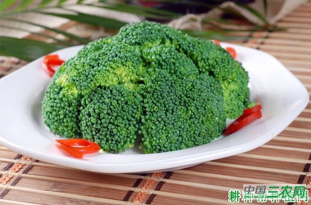 西兰花（青花菜）有哪些功效与作用？