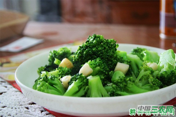 西兰花(青花菜)怎么吃好? 西兰花(青花菜)怎么吃好?