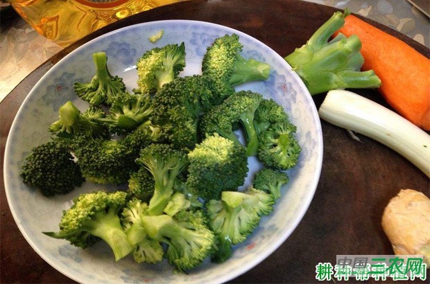 西兰花(青花菜)怎么吃好? 西兰花(青花菜)怎么吃好?