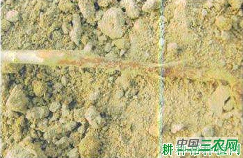 豆角立枯病如何防治? 豆角立枯病如何防治?