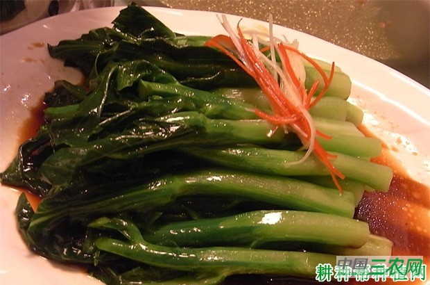 吃芥蓝有什么好处? 吃芥蓝有什么好处?